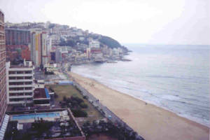 pusan.jpg